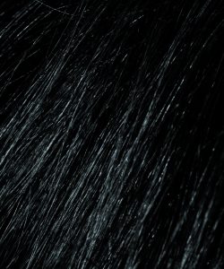 Șampon colorant - Negru BeardBurys - imagine 2