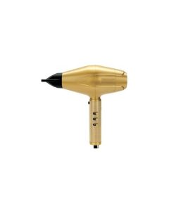 Uscator profesional de par Babyliss Pro Gold FX 2200W